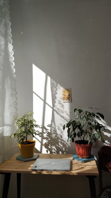 resized_110958